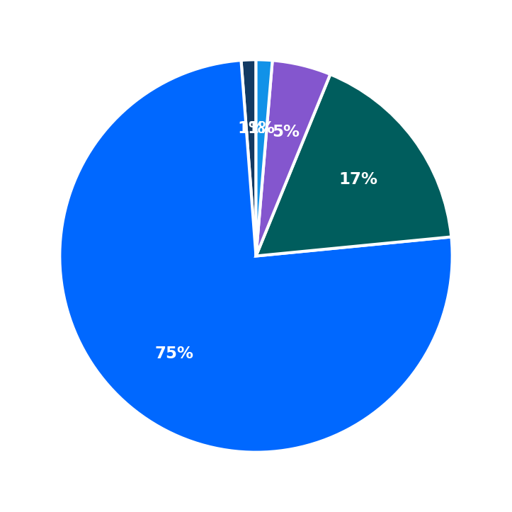 Maximum Investment Breakdown