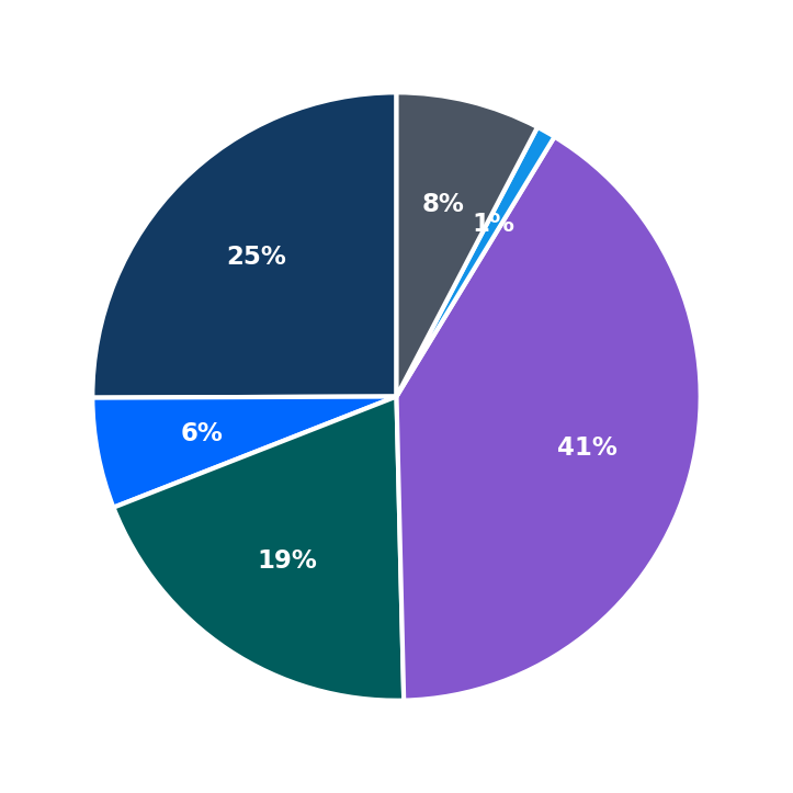 Maximum Investment Breakdown