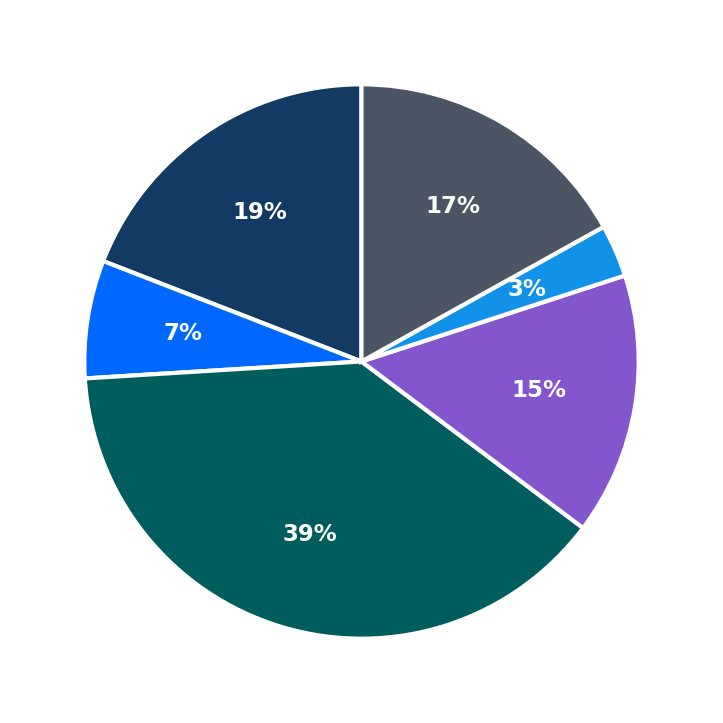Maximum Investment Breakdown