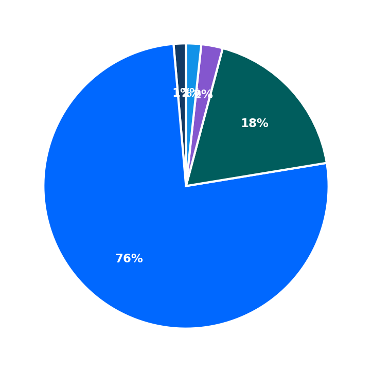 Maximum Investment Breakdown