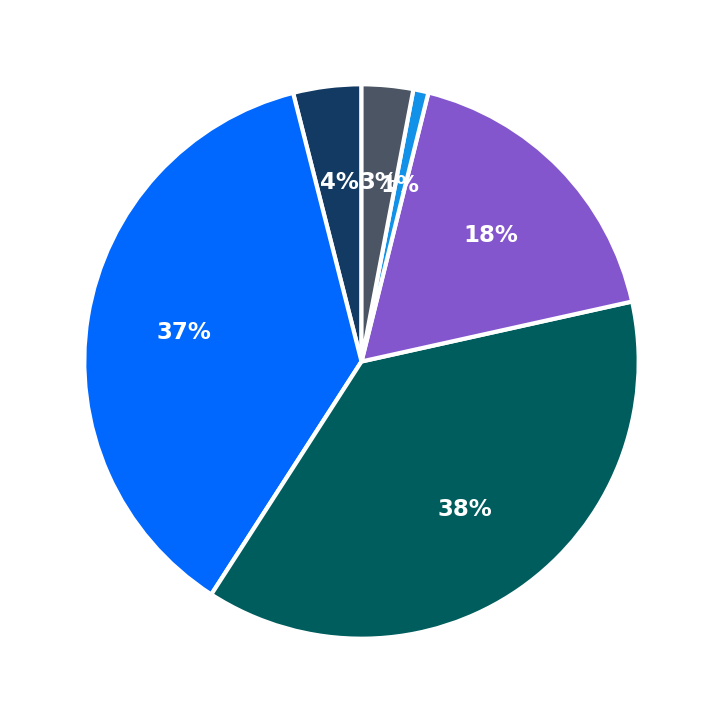 Maximum Investment Breakdown
