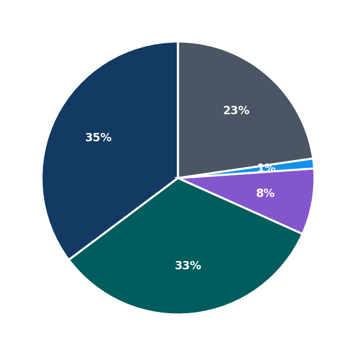 Maximum Investment Breakdown