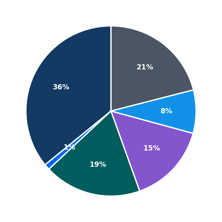 Maximum Investment Breakdown