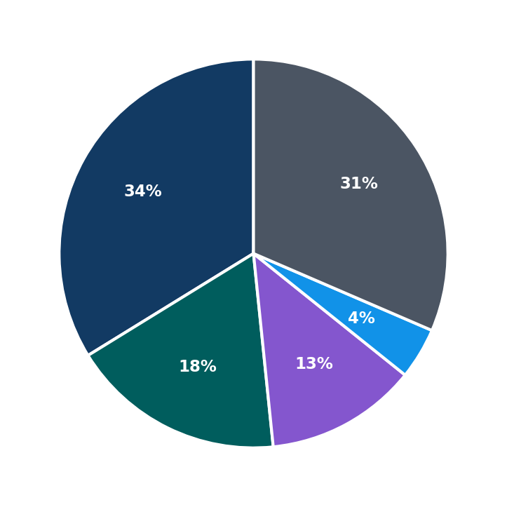 Maximum Investment Breakdown