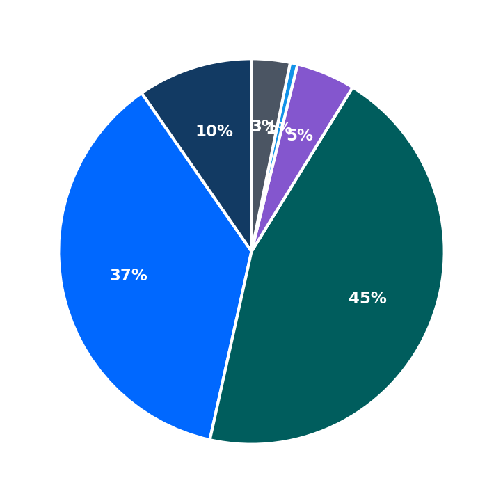 Maximum Investment Breakdown