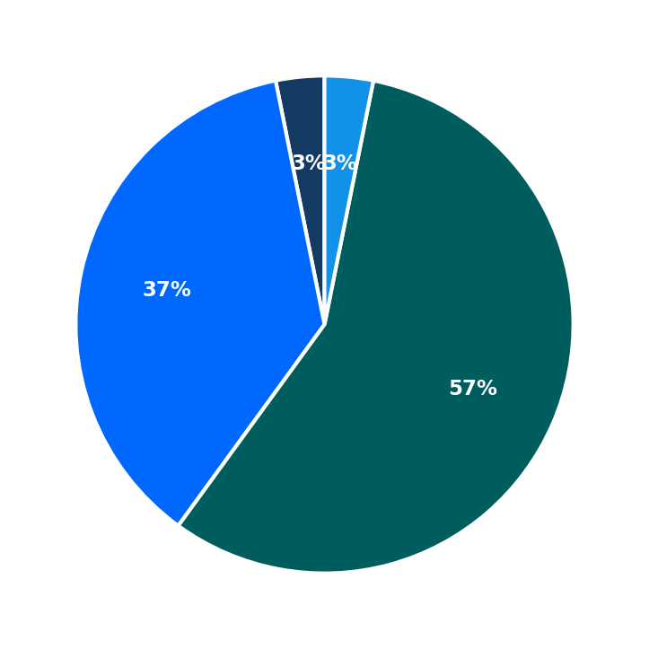 Maximum Investment Breakdown