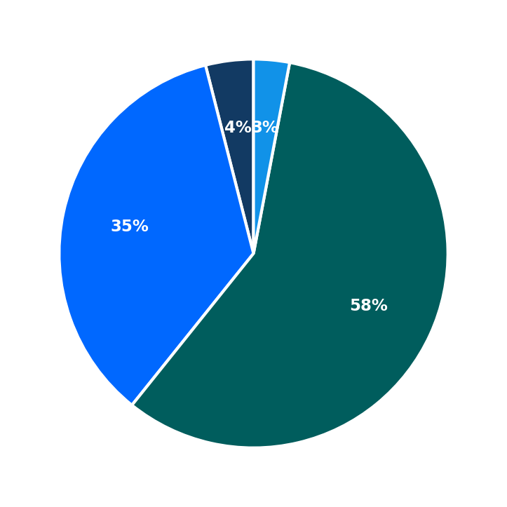 Mulberrys Garment Care maximum investment breakdown