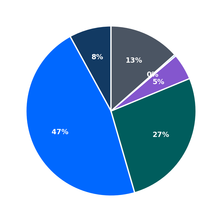 Maximum Investment Breakdown