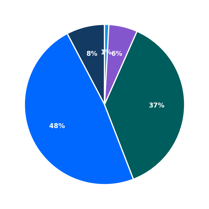 Maximum Investment Breakdown
