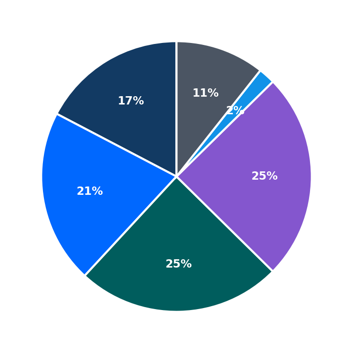 Maximum Investment Breakdown