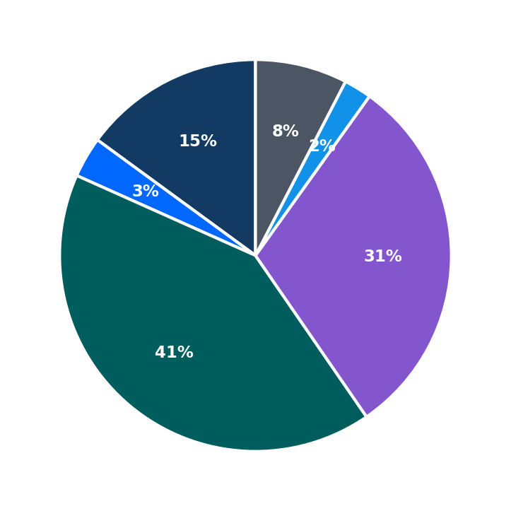 Maximum Investment Breakdown