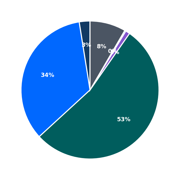 Maximum Investment Breakdown