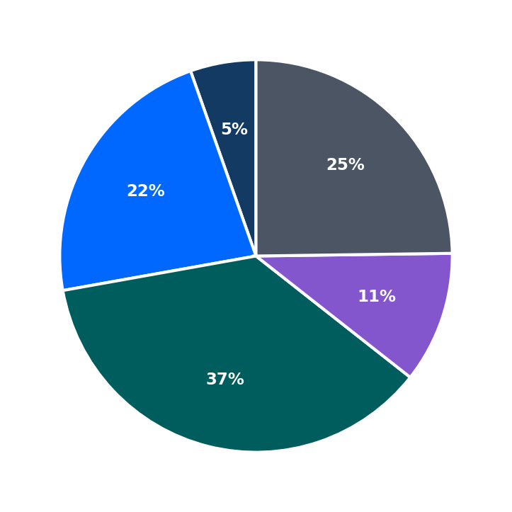 Maximum Investment Breakdown
