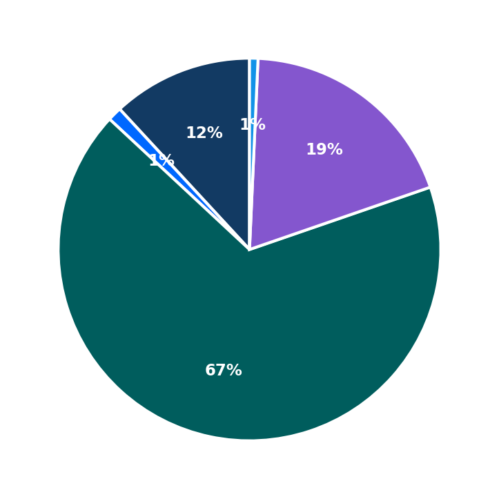 Maximum Investment Breakdown