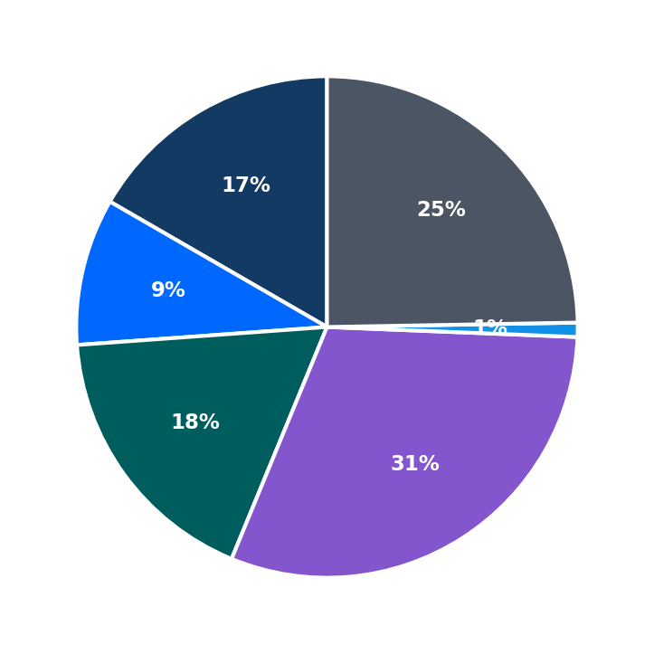 Maximum Investment Breakdown