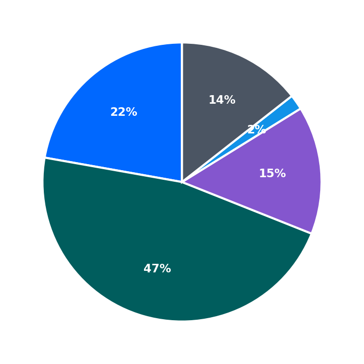 Maximum Investment Breakdown