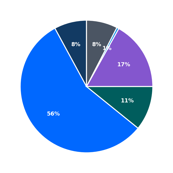 Maximum Investment Breakdown