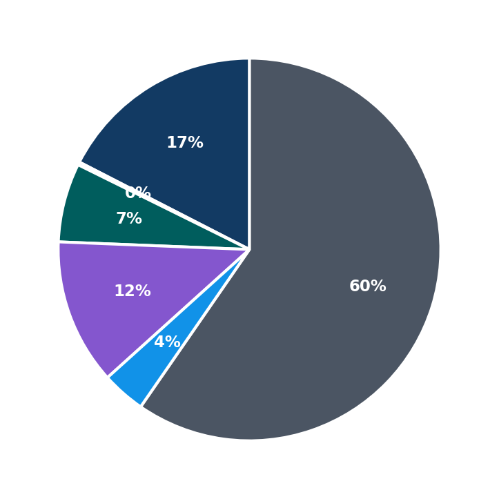 Maximum Investment Breakdown