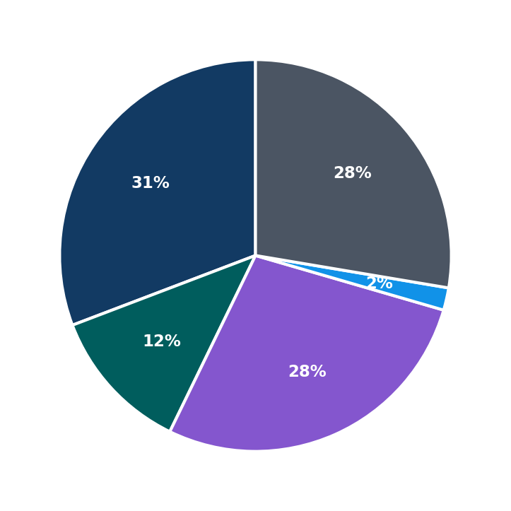 Maximum Investment Breakdown