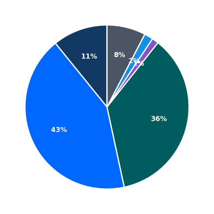 Maximum Investment Breakdown