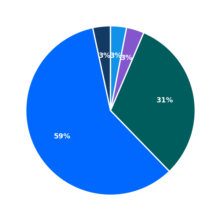 Maximum Investment Breakdown