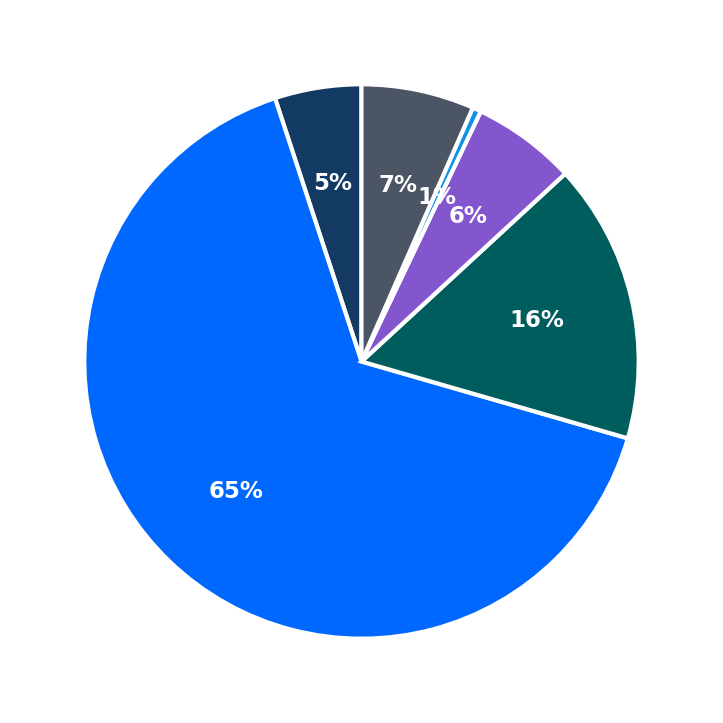 Maximum Investment Breakdown