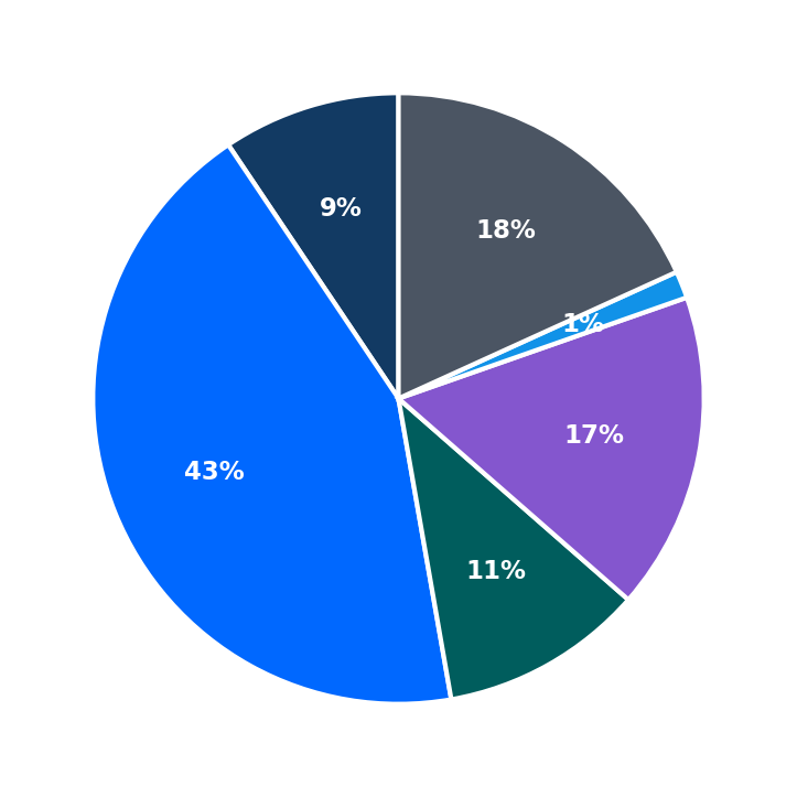 Maximum Investment Breakdown