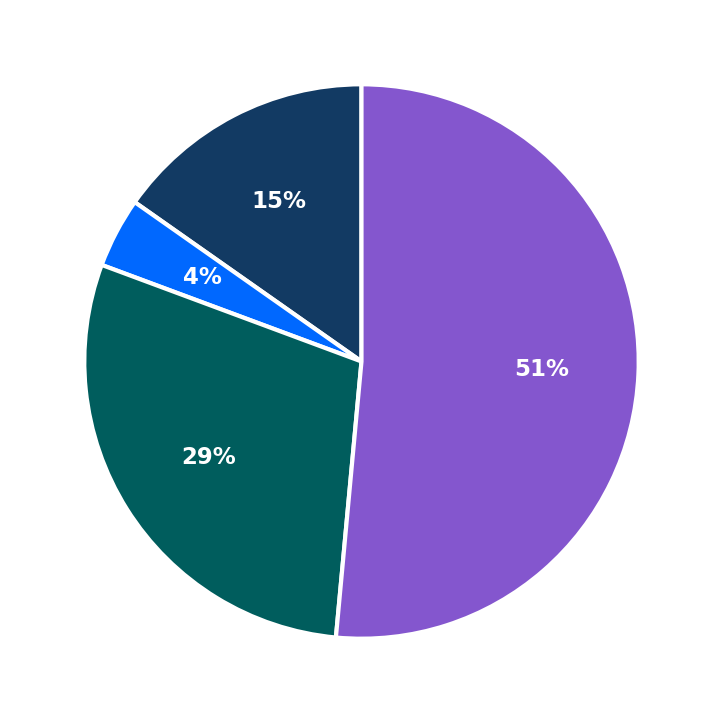 Maximum Investment Breakdown