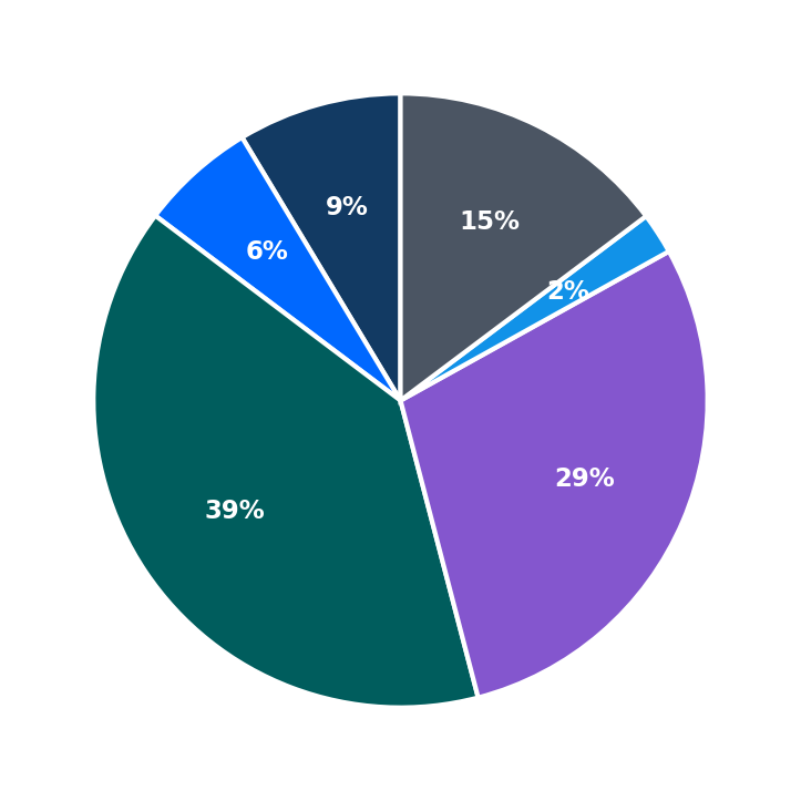 Maximum Investment Breakdown