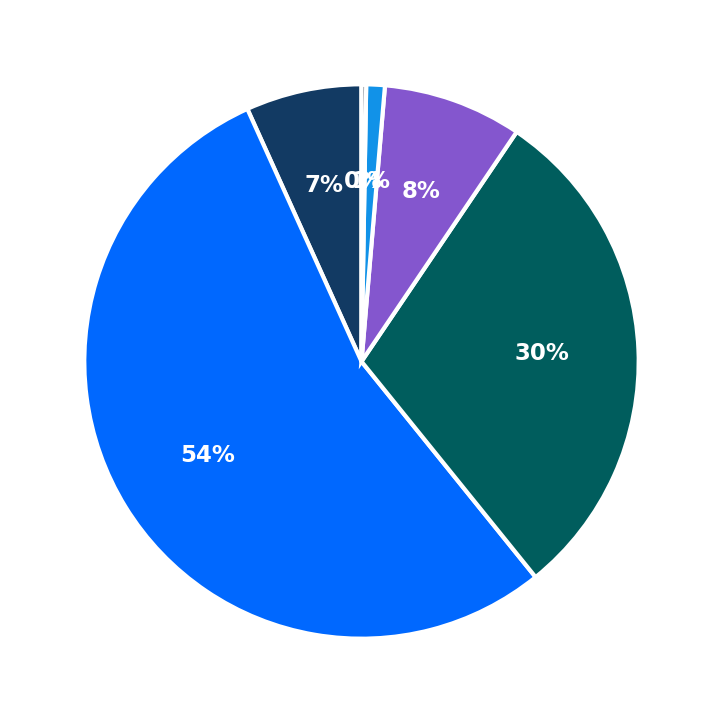 Maximum Investment Breakdown