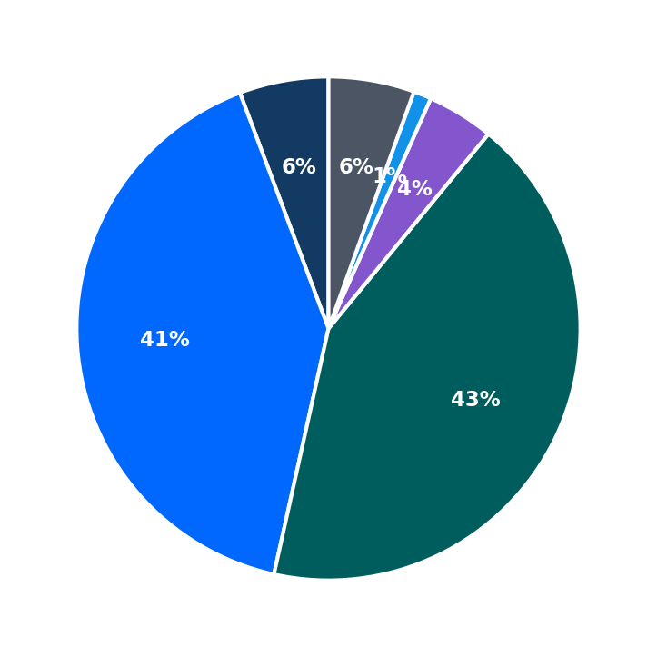 Maximum Investment Breakdown