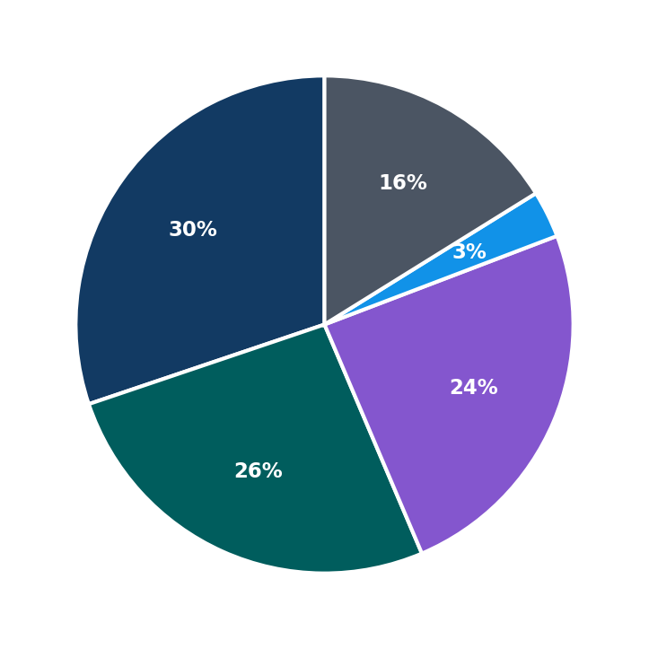 Maximum Investment Breakdown