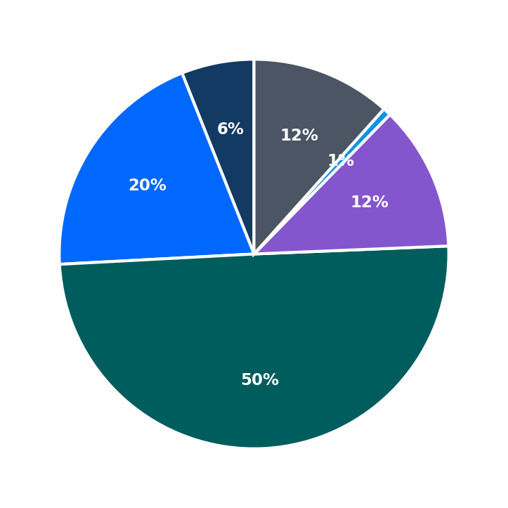 Maximum Investment Breakdown