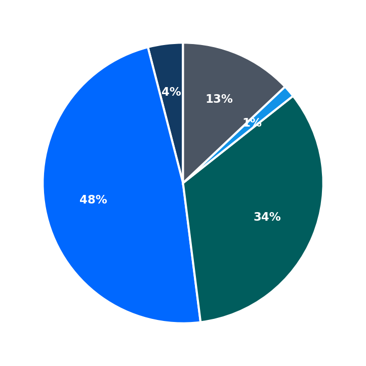 Maximum Investment Breakdown