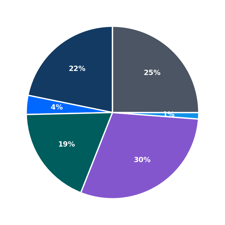 Maximum Investment Breakdown
