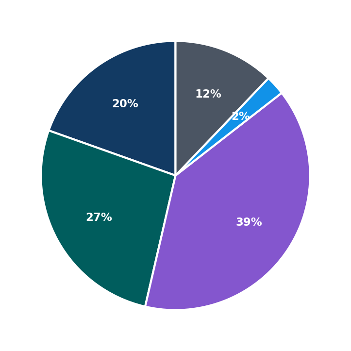 Maximum Investment Breakdown