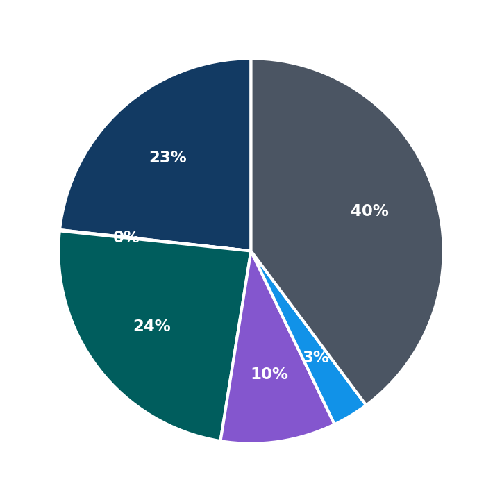 Maximum Investment Breakdown