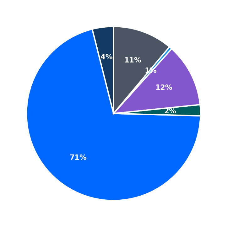 Maximum Investment Breakdown