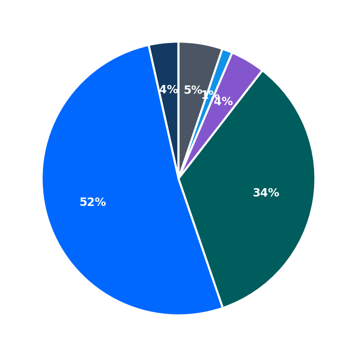 Maximum Investment Breakdown