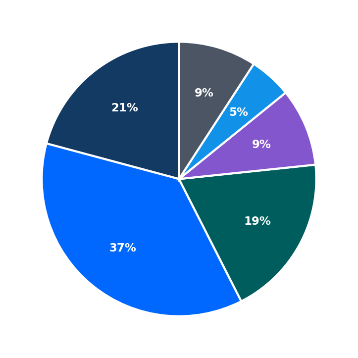 Maximum Investment Breakdown