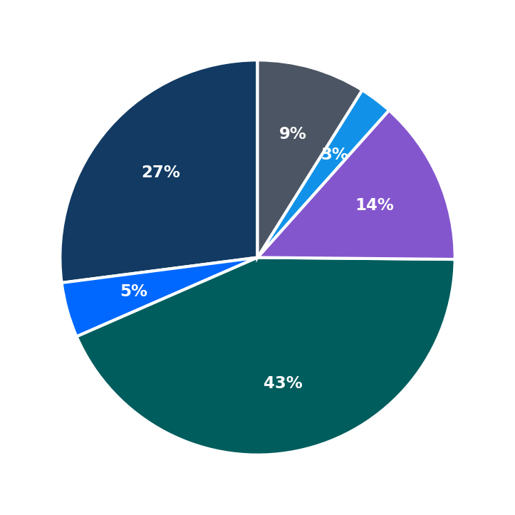 Maximum Investment Breakdown