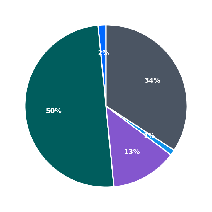 Maximum Investment Breakdown