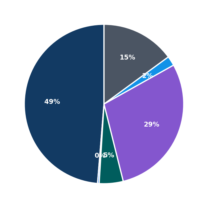 Maximum Investment Breakdown