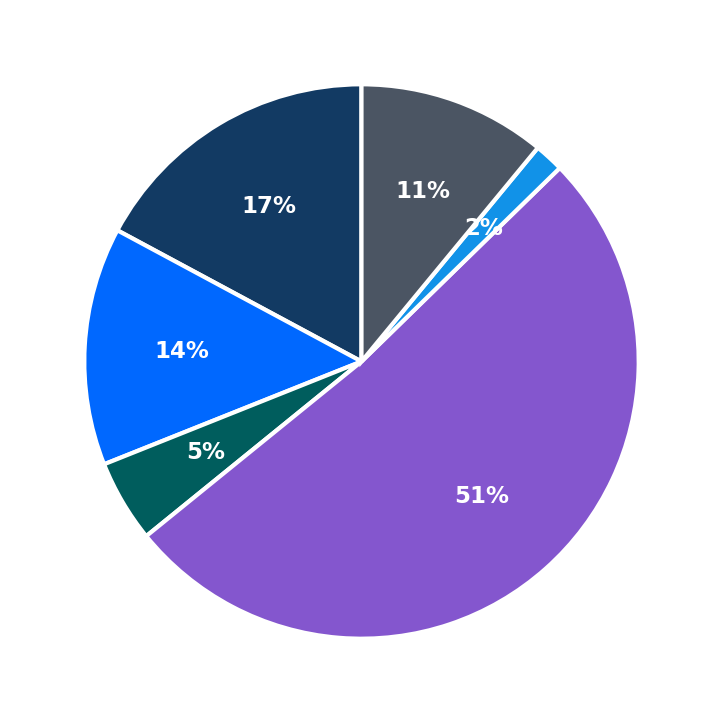 Maximum Investment Breakdown