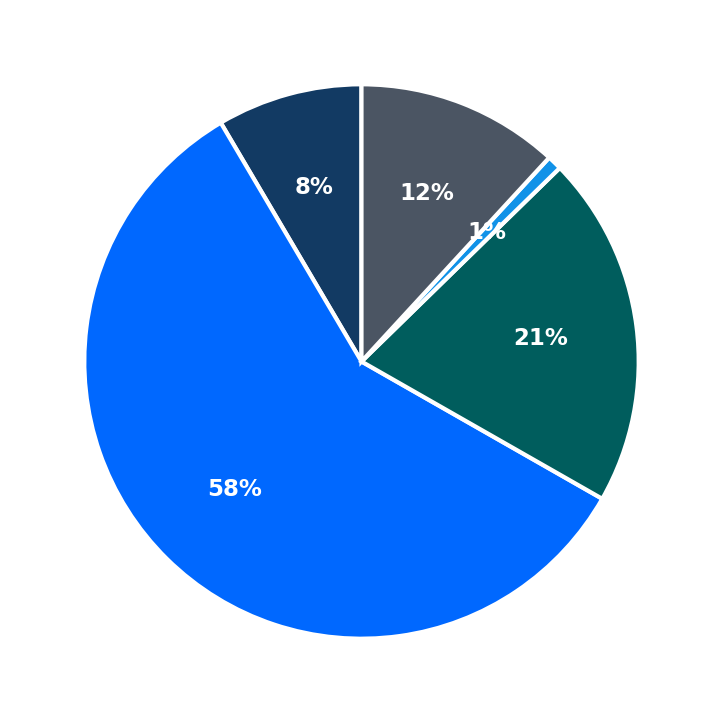 Maximum Investment Breakdown