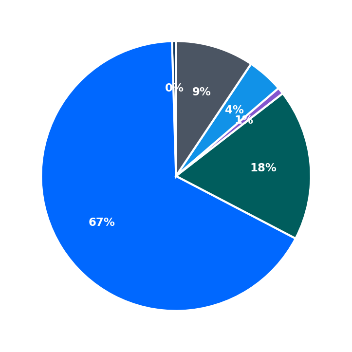 Maximum Investment Breakdown