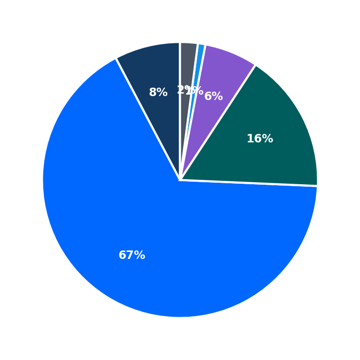 Maximum Investment Breakdown