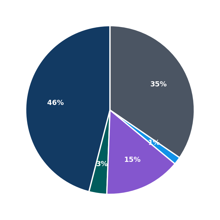 Maximum Investment Breakdown