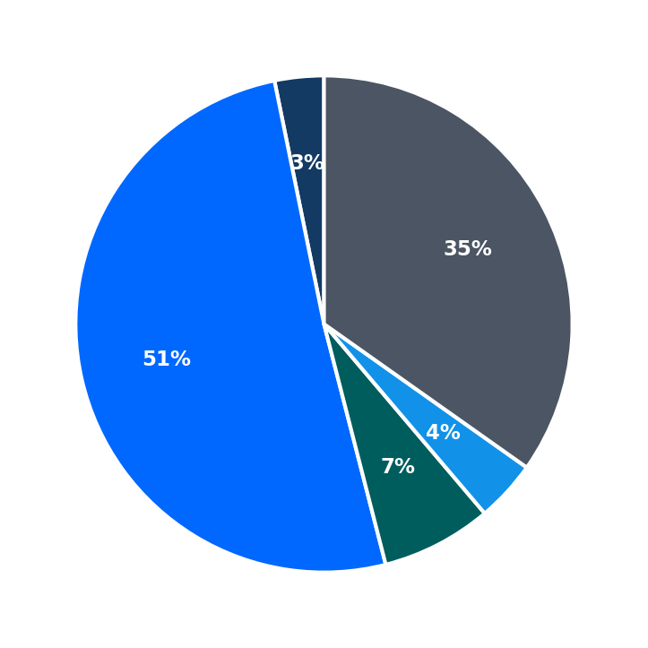 Maximum Investment Breakdown