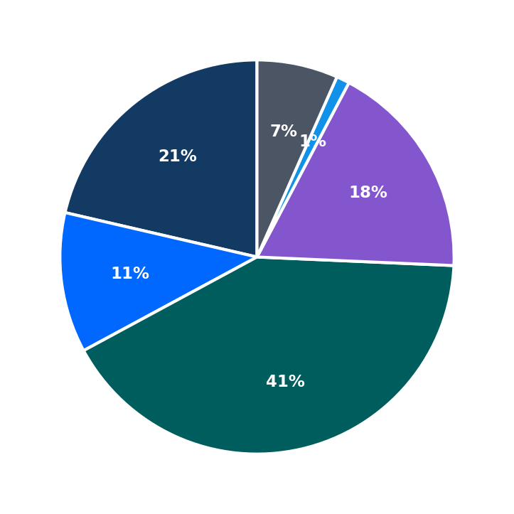 Maximum Investment Breakdown